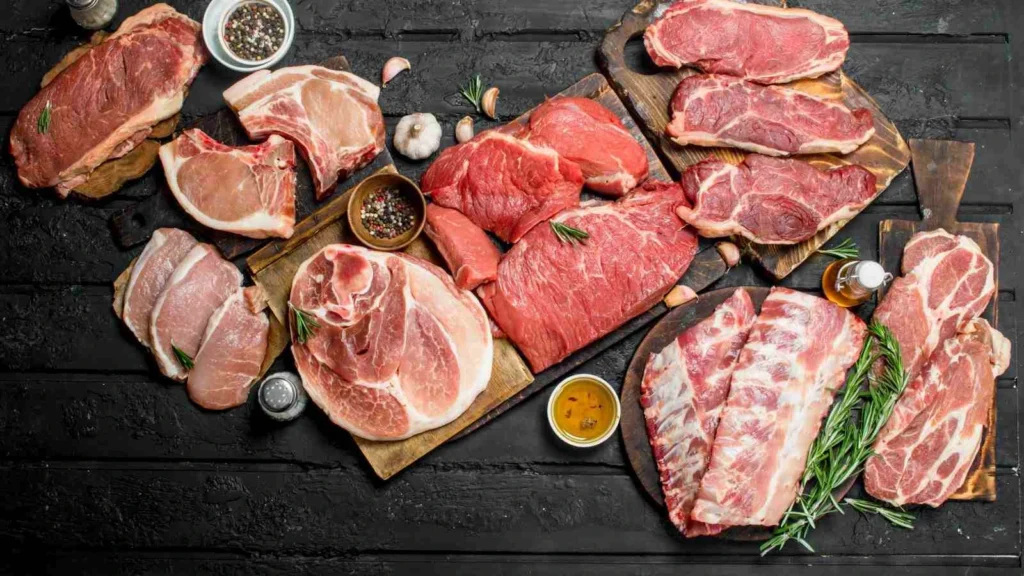 carnivore diyet nedir