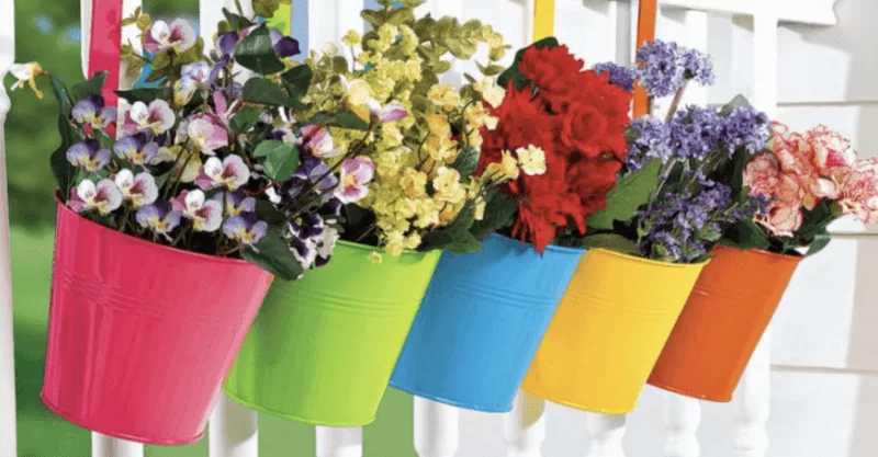 Evde Bitki Yetiştirmenin Ruh Sağlığına Etkisi 2 evde bitki yetiştirmenin ruh sağlığına etkileri