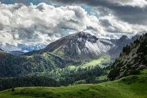 Ekosistem hizmetleri nedir? İnsan Yaşamına Katkıları