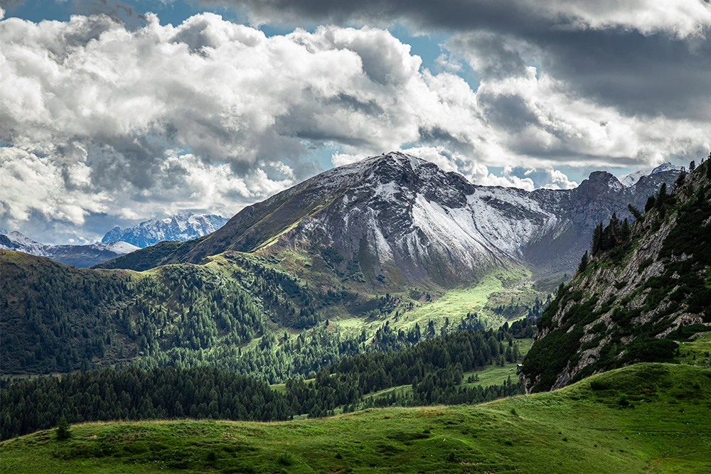 Ekosistem hizmetleri nedir? İnsan Yaşamına Katkıları